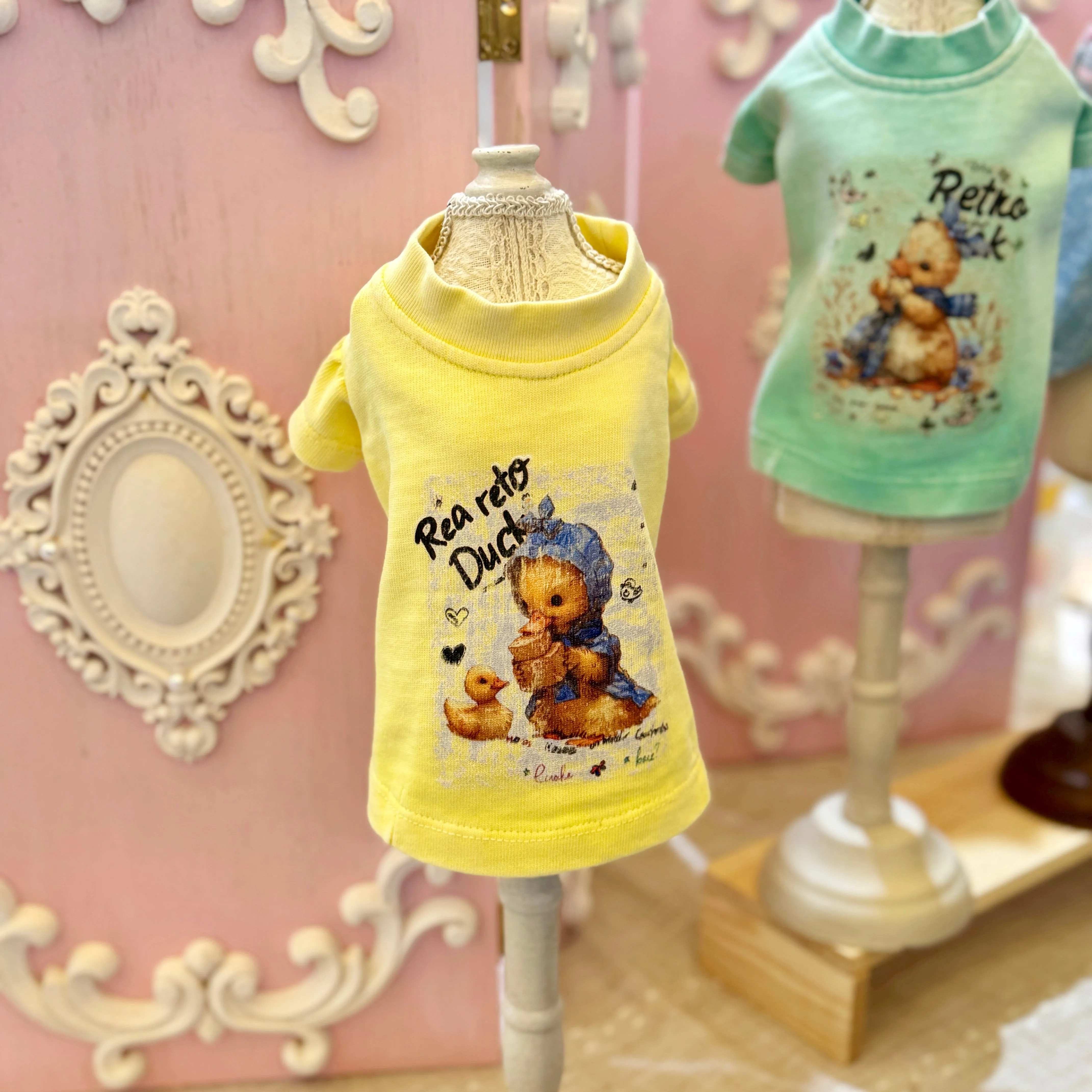 TaniWina Matching Sibling Graphic T-Shirts – Princess & Straight Sleeve Designs for Small Dog